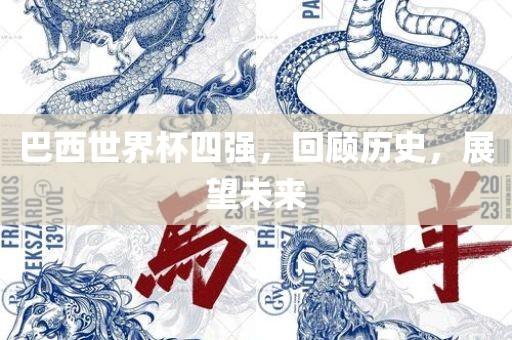 巴西世界杯四强，回顾历史，展望未来
