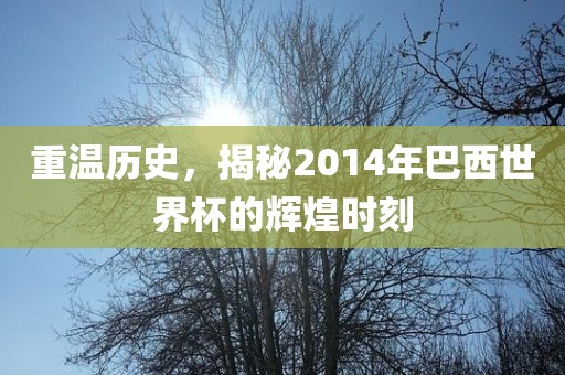 重温历史，揭秘2014年巴西世界杯的辉煌时刻吉安市靖泰电力工程有限公司