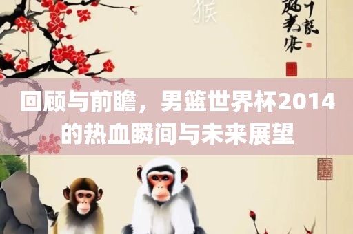 回顾与前瞻，男篮世界杯2014的热血瞬间与未来展望