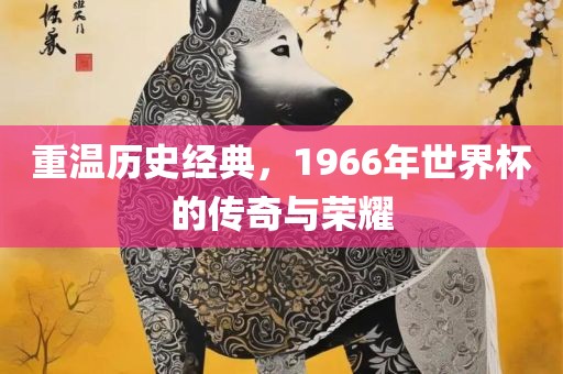 重温历史经典，1966年世界杯的传奇与荣耀