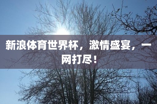新浪体育世界杯，激情盛宴，一网打尽！吉安市靖泰电力工程有限公司