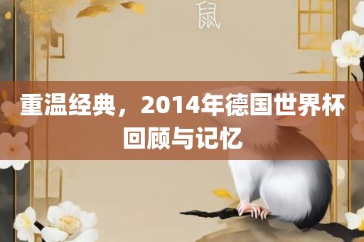 重温经典，2014年德国世界杯回顾与记忆