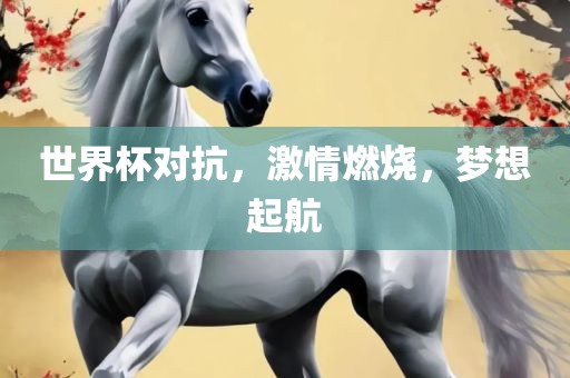 世界杯对抗，激情燃烧，梦想起航