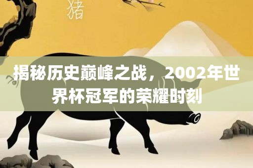 揭秘历史巅峰之战，2002年世界杯冠军的荣耀时刻吉安市靖泰电力工程有限公司