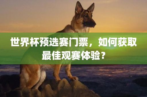 世界杯预选赛门票，如何获取最佳观赛体验？