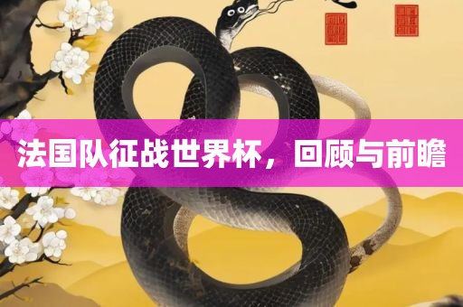 法国队征战世界杯，回顾与前瞻