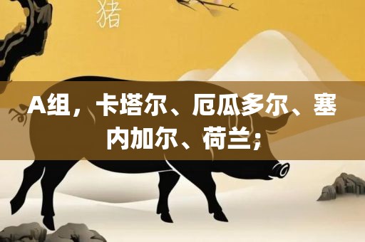 A组，卡塔尔、厄瓜多尔、塞内加尔、荷兰；