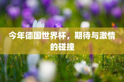 今年德国世界杯，期待与激情的碰撞吉安市靖泰电力工程有限公司
