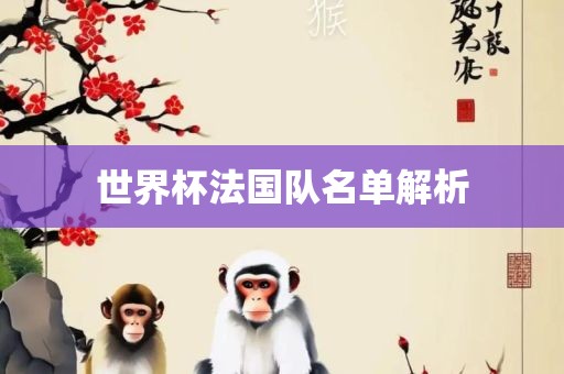 世界杯法国队名单解析
