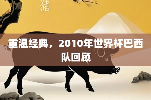 重温经典，2010年世界杯巴西队回顾