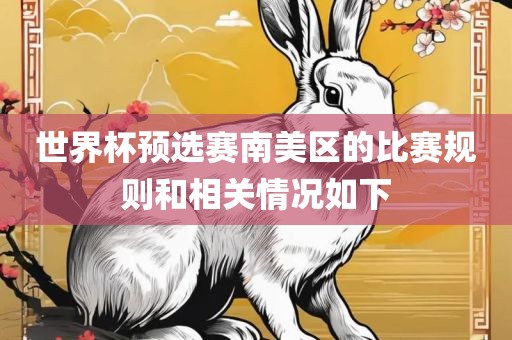 世界杯预选赛南美区的比赛规则和相关情况如下