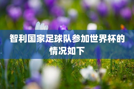 智利国家足球队参加世界杯的情况如下吉安市靖泰电力工程有限公司