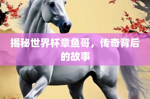 揭秘世界杯章鱼哥，传奇背后的故事
