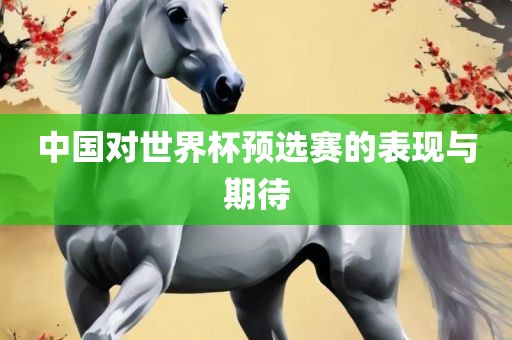 中国对世界杯预选赛的表现与期待吉安市靖泰电力工程有限公司