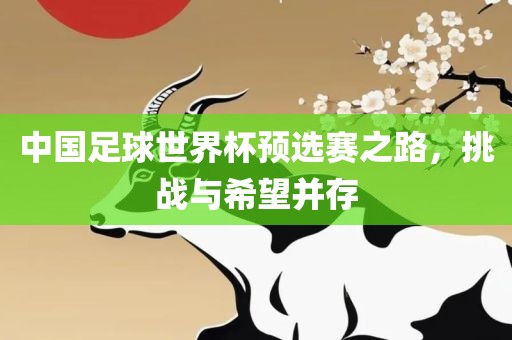 中国足球世界杯预选赛之路，挑战与希望并存
