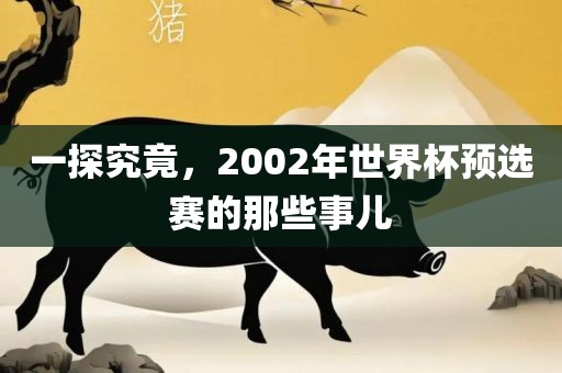 一探究竟，2002年世界杯预选赛的那些事儿吉安市靖泰电力工程有限公司