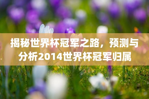 揭秘世界杯冠军之路，预测与分析2014世界杯冠军归属