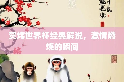 贺炜世界杯经典解说，激情燃烧的瞬间