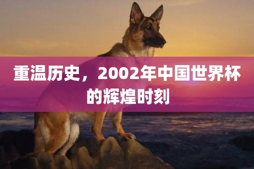 重温历史，2002年中国世界杯的辉煌时刻