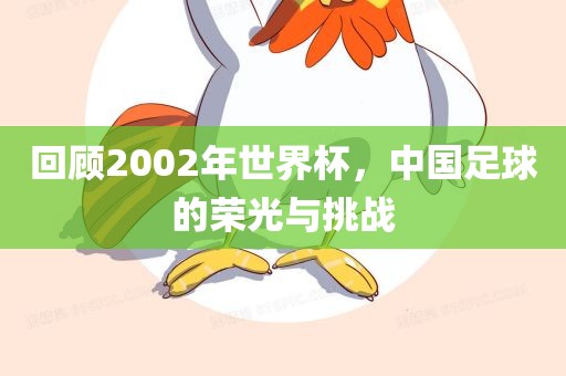 回顾2002年世界杯，中国足球的荣光与挑战