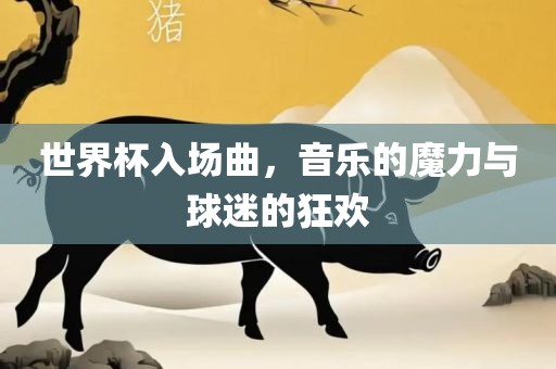 世界杯入场曲，音乐的魔力与球迷的狂欢