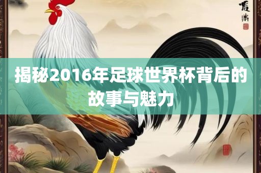 揭秘2016年足球世界杯背后的故事与魅力