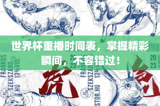 世界杯重播时间表，掌握精彩瞬间，不容错过！