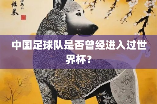 中国足球队是否曾经进入过世界杯？