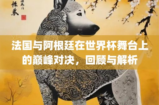 法国与阿根廷在世界杯舞台上的巅峰对决，回顾与解析
