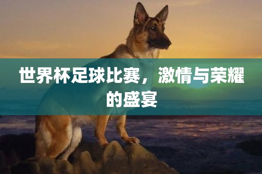 世界杯足球比赛，激情与荣吉安市靖泰电力工程有限公司耀的盛宴