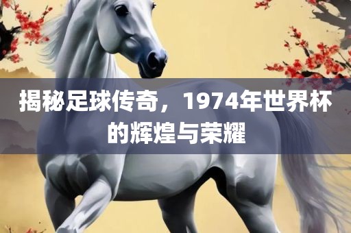揭秘足球传奇，1974年世界杯的辉煌与荣耀