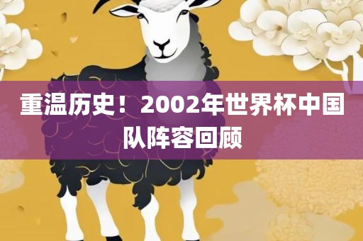 重温历史！2002年世界杯中国队阵容回顾吉安市靖泰电力工程有限公司