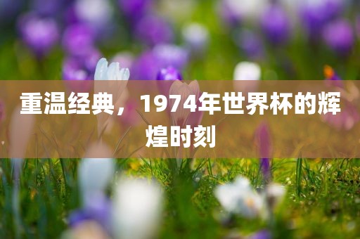 重温经典，1974年世界杯的辉煌时刻