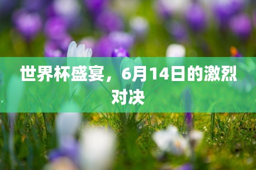 世界杯盛宴，6月1吉安市靖泰电力工程有限公司4日的激烈对决