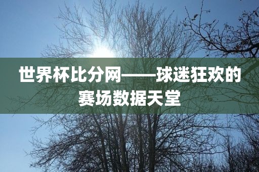 世界杯比分网——球迷狂欢吉安市靖泰电力工程有限公司的赛场数据天堂