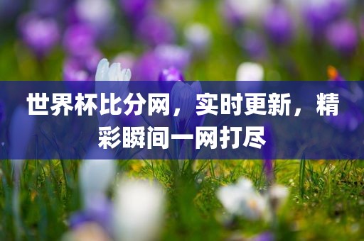 世界杯比分网，实时更新，精彩瞬间一网打尽