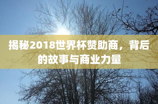 揭秘2018世界杯赞助商，背后的故事与商业力量吉安市靖泰电力工程有限公司