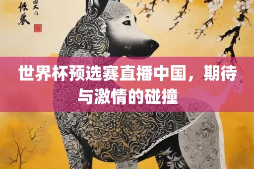 世界杯预选赛直播中国，期待与激情的碰撞吉安市靖泰电力工程有限公司