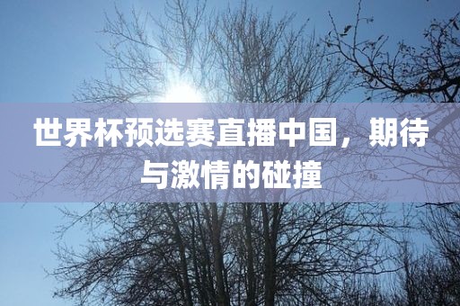 世界杯预选赛直播中国，期待与激情的碰撞