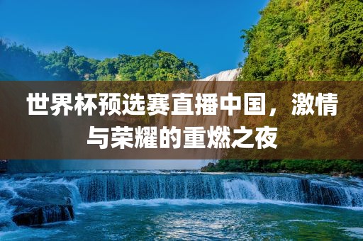 世界杯预选赛直播中国，激情与荣耀的重燃之夜
