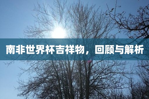 南非世界杯吉祥物，回顾与解析