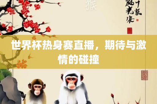 世界杯热身赛直播，期待与激情的碰撞