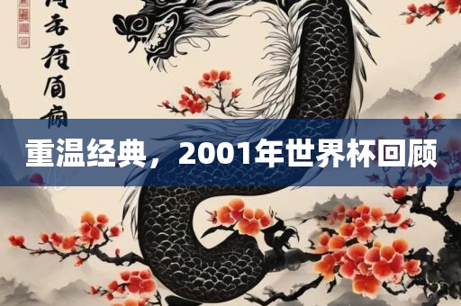 重温经典，2001年世界杯回顾