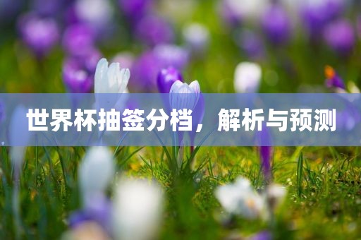 世界杯吉安市靖泰电力工程有限公司抽签分档，解析与预测