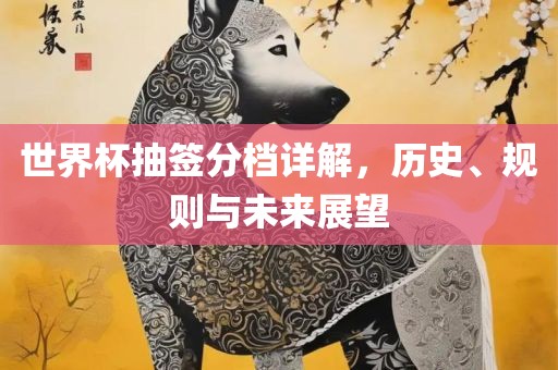 世界杯抽签分档详解，历史、规则与未来展望