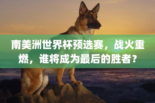 南美洲世界杯预选赛，战火重燃，谁将成为最后的胜者？吉安市靖泰电力工程有限公司