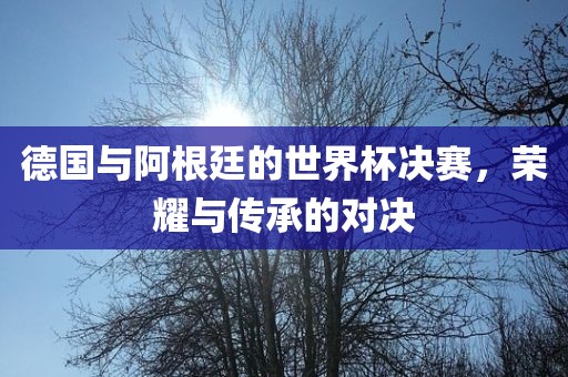 德国与阿根廷的世界杯决赛，荣耀与传承的对决吉安市靖泰电力工程有限公司