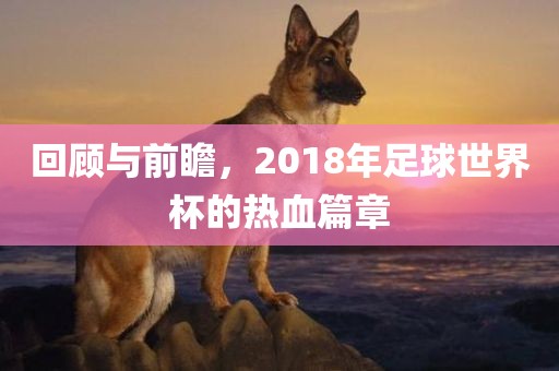 回顾与前瞻，2018年足球世界杯的热血篇章