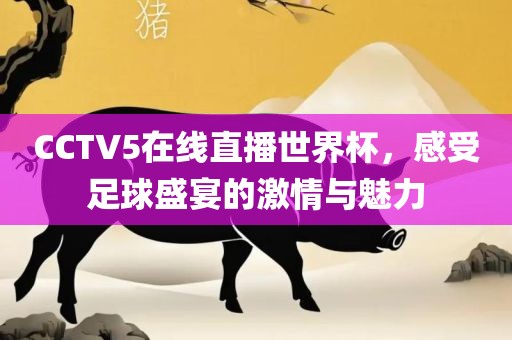 CCTV5在线直播世界杯，感受足球盛宴的激情与魅力吉安市靖泰电力工程有限公司