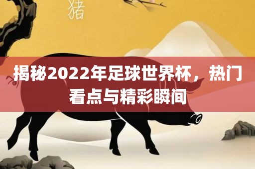 揭秘2022年足球世界杯，热门看点与精彩瞬间吉安市靖泰电力工程有限公司
